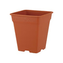 アップルウェアー ロゼアスクエア ブラウン