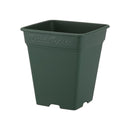 アップルウェアー ロゼアスクエア グリーン