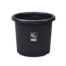 アップルウェアー 菊鉢 ブラック