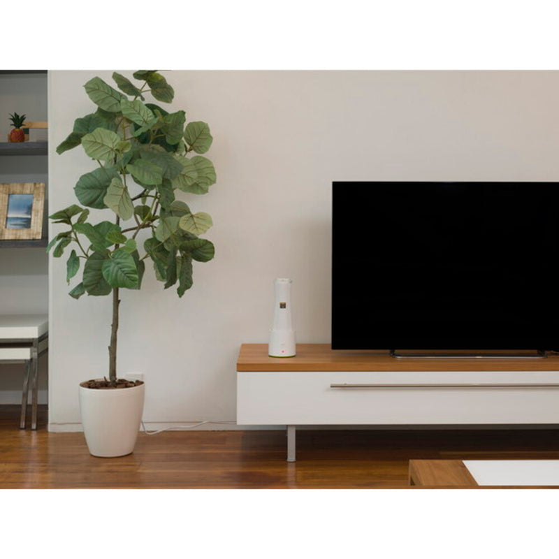 CCP コードレス小型除湿器 ドライボス 除湿 脱臭 繰り返し使える 水捨て不要 エコ ホワイト ZJ-MF70-GR 1台