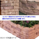 イージーウォール ストレート×12個 9900499  【直送品】 返品・キャンセル・他商品と同時購入は不可