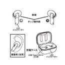 カシムラ 完全ワイヤレス ステレオイヤホン 高音質 BK BL112