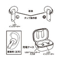 カシムラ 完全ワイヤレス ステレオイヤホン 高音質 WH BL114