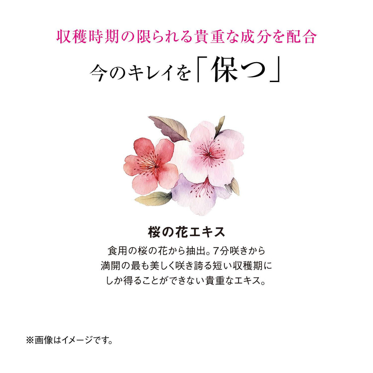 ◇資生堂 ザ・コラーゲン ドリンク 50mL×10本入り