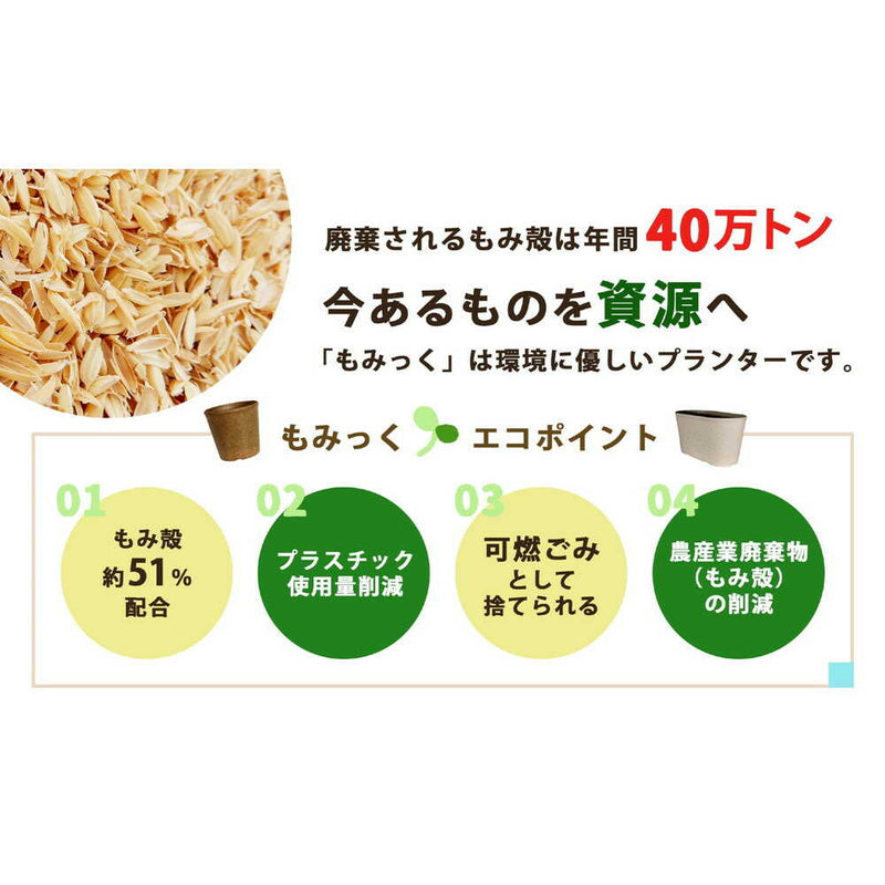 welzo もみっくプレート ブラック ５号