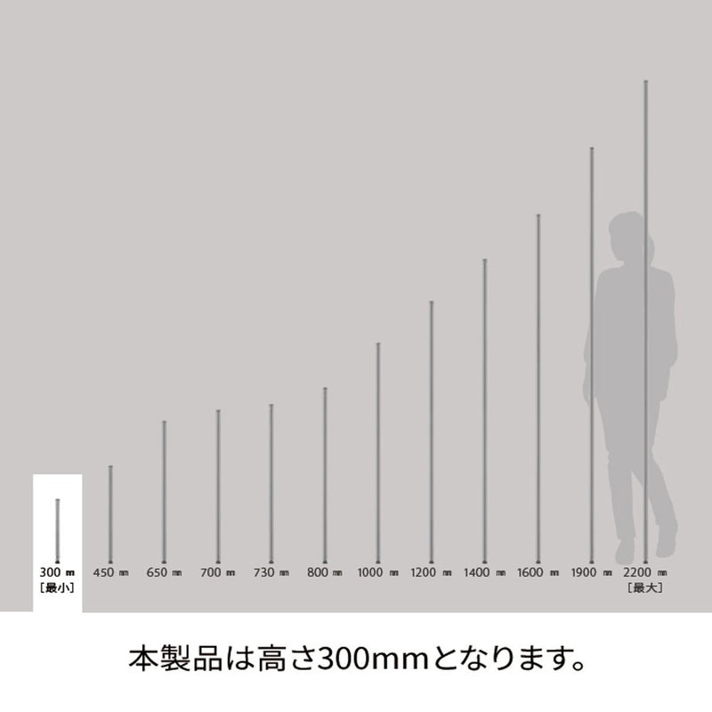 エレクター ベーシックシリーズ ポール 300mm ホワイト B12PW2 2本入