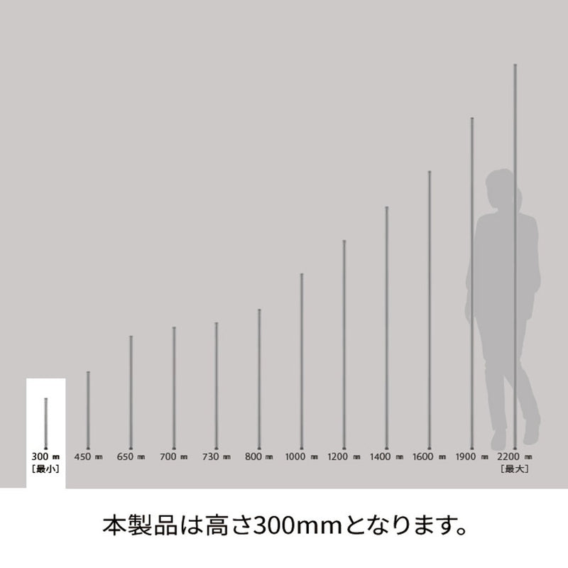 エレクター ベーシックシリーズ ポール 300mm ブラック B12PB2 2本入