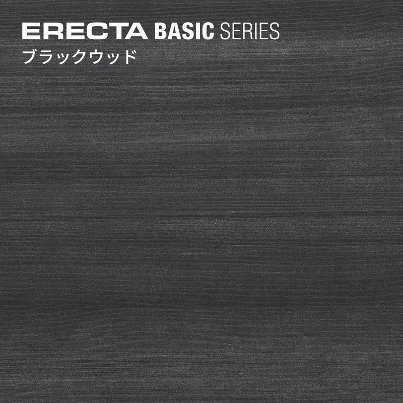 エレクター ベーシックシリーズウッドシェルフ W900xD600mm ブラックウッド ブラックフレーム 棚用 B2436MBB1