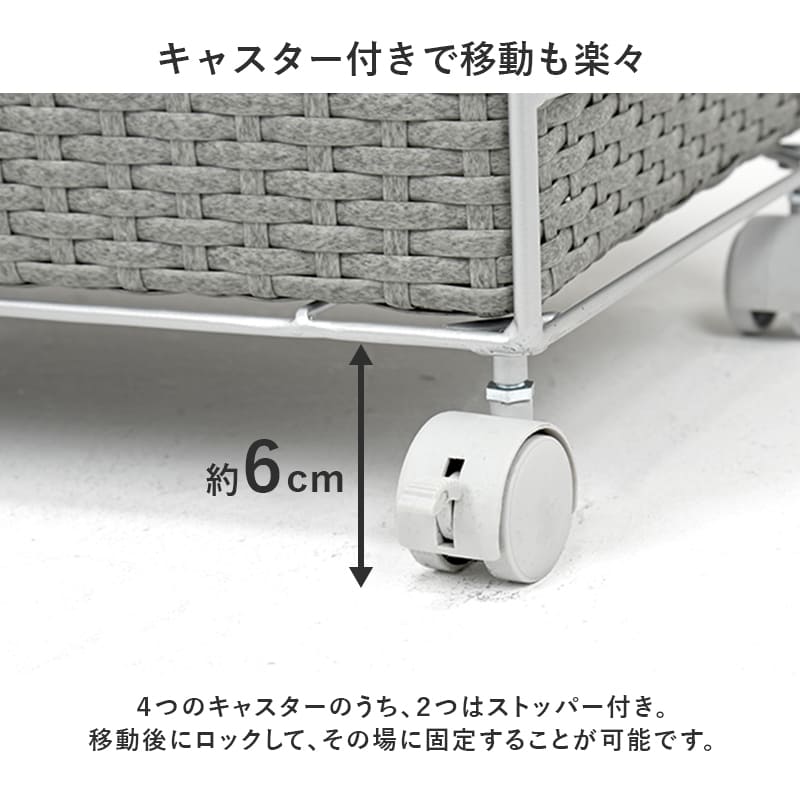 ランドリー 幅65cm RAN-2458WH メーカー直送 ▼返品・キャンセル不可【他商品との同時購入不可】
