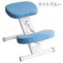 プロポーションチェア CH-N88W ホワイトライトブルー メーカー直送 ▼返品・キャンセル不可【他商品との同時購入不可】