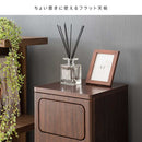 2段プッシュダストボックス DB-960R グレージュ メーカー直送 ▼返品・キャンセル不可【他商品との同時購入不可】