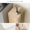 プッシュダストボックス エンプロー DB-800R モカ メーカー直送 ▼返品・キャンセル不可【他商品との同時購入不可】