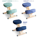 プロポーションチェア用替えカバー CV-9K ピンク メーカー直送 ▼返品・キャンセル不可【他商品との同時購入不可】