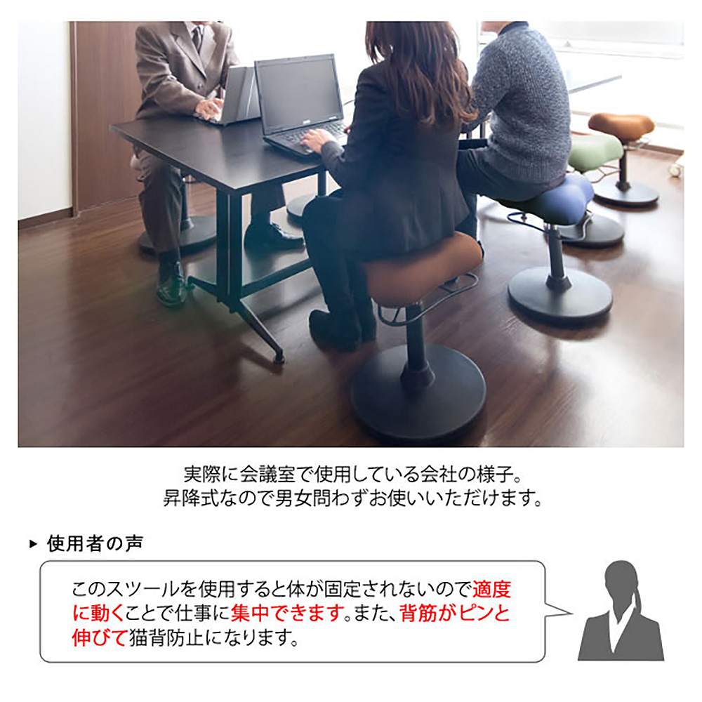 宮武製作所 プロポーションスツール（ロータイプ） メーカー直送