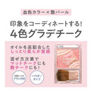 セザンヌ ブレンドカラーチーク ０２ ムードピンク 4.5g