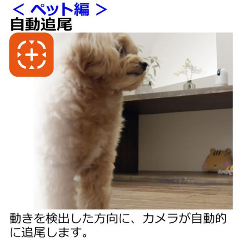 見守りカメラ LOOK メーカー直送▼返品・キャンセル不可【他商品との同時購入不可】