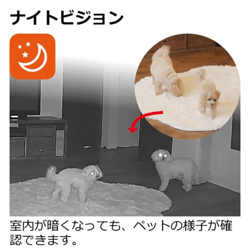 見守りカメラ LOOK メーカー直送▼返品・キャンセル不可【他商品との同時購入不可】