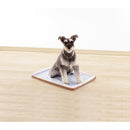 Nおでかけシーツトレーワイド ブラウン メーカー直送▼返品・キャンセル不可【他商品との同時購入不可】