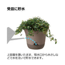 リッチェル ウルオ ポット  ダークブラウン