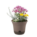 リッチェル ウルオ ポット  ダークブラウン