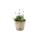 リッチェル ウルオ ポット  ベージュ