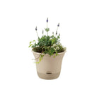 リッチェル ウルオ ポット  ベージュ