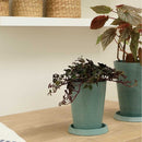 リッチェル ボタニー トールポット 12型 1個