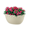 リッチェル ソレシア ミニ壁かけ アイボリー