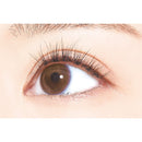 DUP 快速延伸 05 自然色 120 片