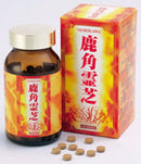 ◆森川健康堂和野灵芝300粒