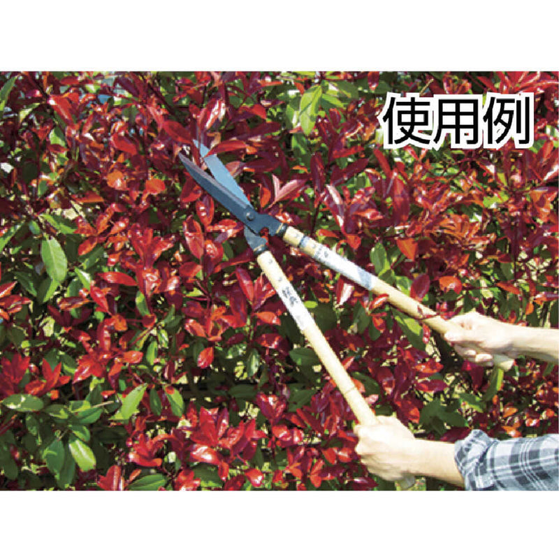 A2 鋼典 刈込鋏 安来鋼付パーカー仕上 白樫柄入 メーカー直送 ▼返品・キャンセル不可【他商品との同時購入不可】