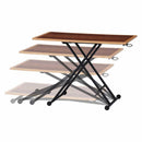 昇降テーブル　シルビア　ツートン　19243　メーカー直送 ▼返品・キャンセル不可【他商品との同時購入不可】