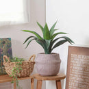 フェイクグリーン アガベ セメントポット 41135 メーカー直送 ▼返品・キャンセル不可【他商品との同時購入不可】