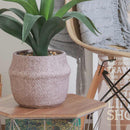 フェイクグリーン アガベ セメントポット 41135 メーカー直送 ▼返品・キャンセル不可【他商品との同時購入不可】