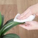 フェイクグリーン アガベ セメントポット 41135 メーカー直送 ▼返品・キャンセル不可【他商品との同時購入不可】