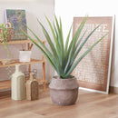 フェイクグリーン アロエ M セメントポット 41136 メーカー直送 ▼返品・キャンセル不可【他商品との同時購入不可】