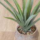 フェイクグリーン アロエ M セメントポット 41136 メーカー直送 ▼返品・キャンセル不可【他商品との同時購入不可】