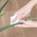 フェイクグリーン アロエ M セメントポット 41136 メーカー直送 ▼返品・キャンセル不可【他商品との同時購入不可】