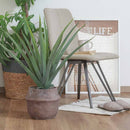 フェイクグリーン アロエ M セメントポット 41136 メーカー直送 ▼返品・キャンセル不可【他商品との同時購入不可】