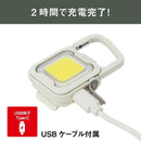 ムサシ 充電式 ぴかり MINI LIGHT オフホワイト WRC-20WH