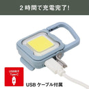ムサシ 充電式 ぴかり MINI LIGHT ダスティブルー WRC-22DB