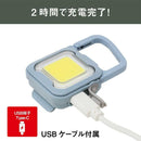 ムサシ 充電式 ぴかり MINI LIGHT ダスティブルー WRC-22DB