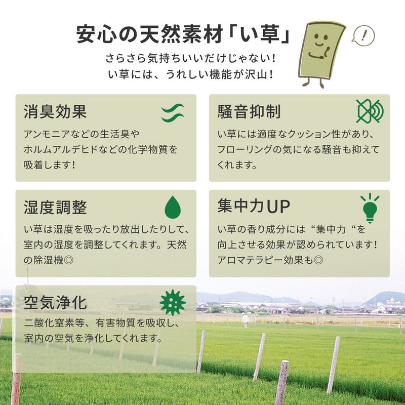 フリーカット裏付 い草カーペット 本間8畳 補修テープ付  メーカー直送 ▼返品・キャンセル不可【他商品との同時購入不可】