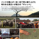 ギャッベマット GABBEH D16 オレンジ 60×90cm 【直送品】 返品・キャンセル・他商品と同時購入は不可