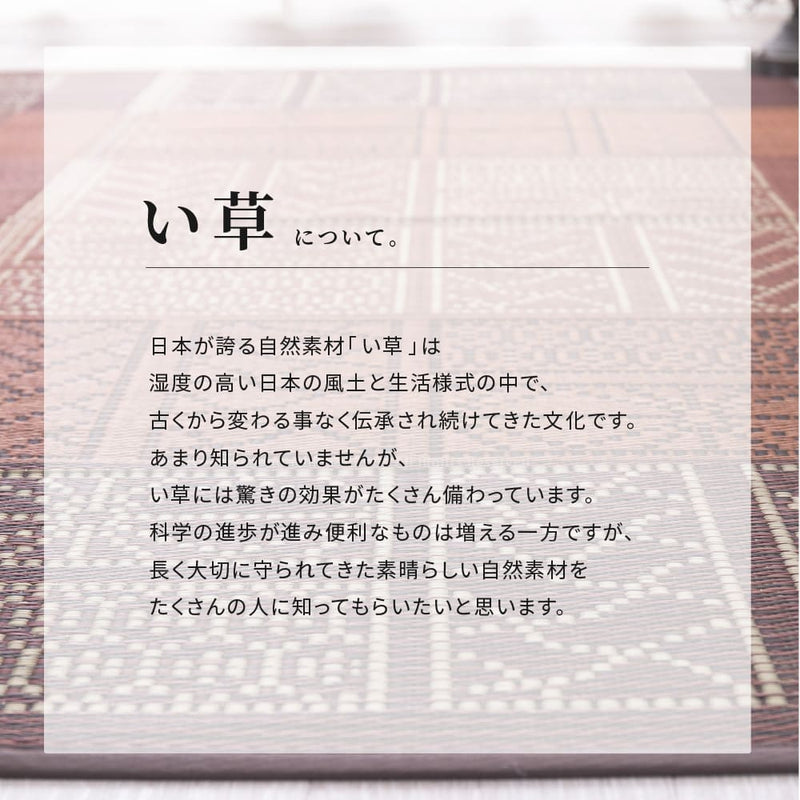 い草ラグ 伊勢 ブラウン 176×220 メーカー直送 ▼返品・キャンセル不可【他商品との同時購入不可】