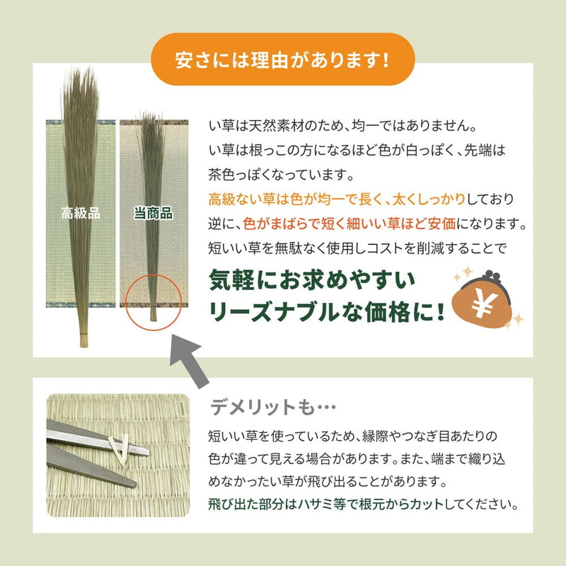 い草カーペット 柳川（やながわ） 江戸間8畳 メーカー直送 ▼返品・キャンセル不可【他商品との同時購入不可】