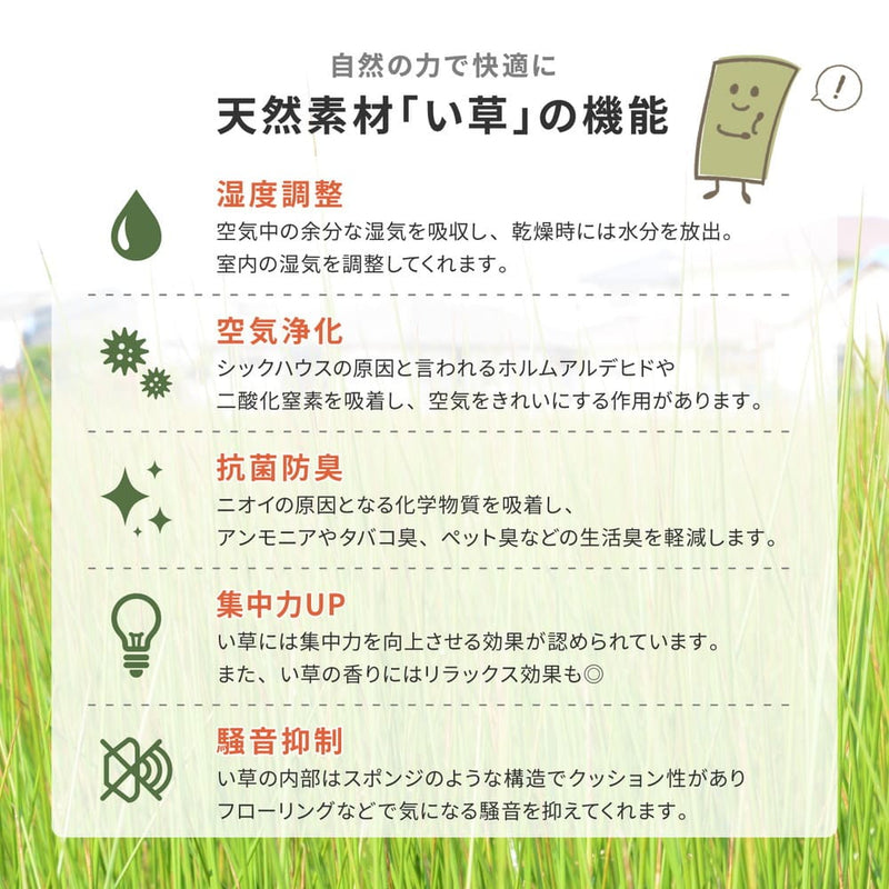 い草カーペット 柳川（やながわ） 江戸間8畳 メーカー直送 ▼返品・キャンセル不可【他商品との同時購入不可】