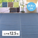 洗えるい草風カーペット ライアン 江戸間12.5畳 グリーン  メーカー直送 ▼返品・キャンセル不可【他商品との同時購入不可】