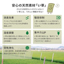 フリーカット裏付 い草カーペット みすず 団地間4.5畳  メーカー直送 ▼返品・キャンセル不可【他商品との同時購入不可】