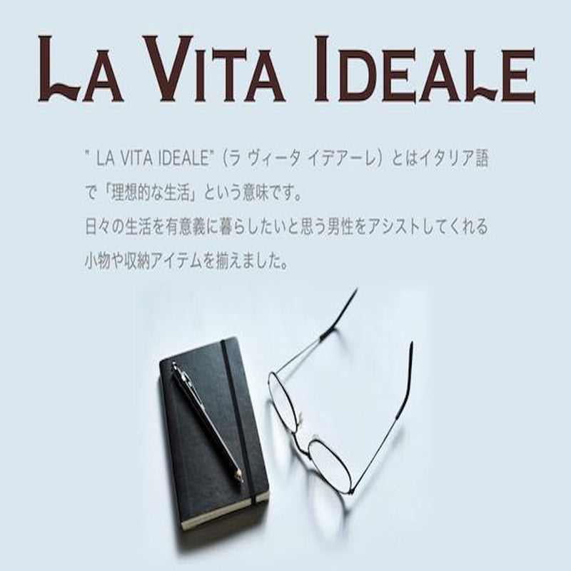 メンズボックスL（小物収納） 240-576BK メーカー直送 ▼返品キャンセル不可【他商品との同時購入不可】